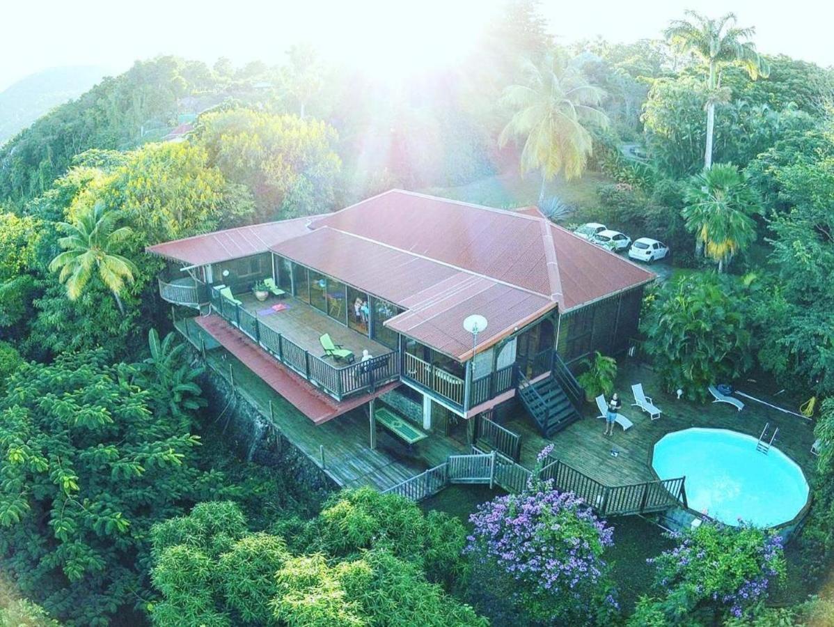 Villa Du Jardin Botanique, Ex. Propriete Coluche Deshaies Extérieur photo
