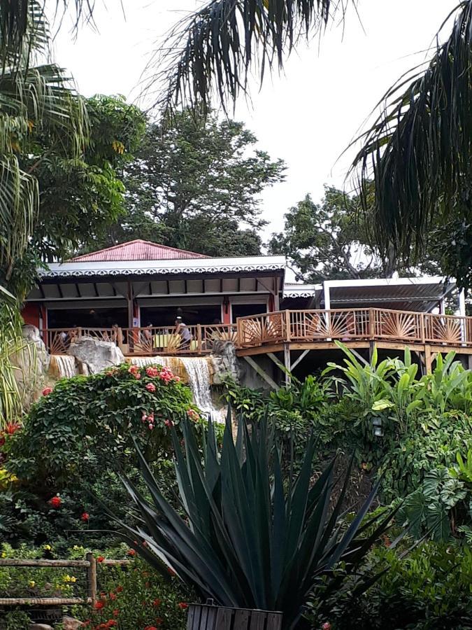 Villa Du Jardin Botanique, Ex. Propriete Coluche Deshaies Extérieur photo