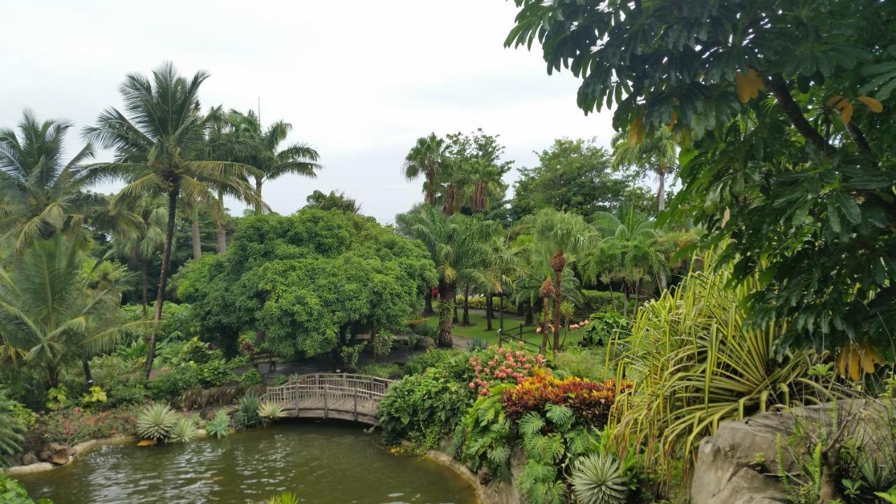 Villa Du Jardin Botanique, Ex. Propriete Coluche Deshaies Extérieur photo