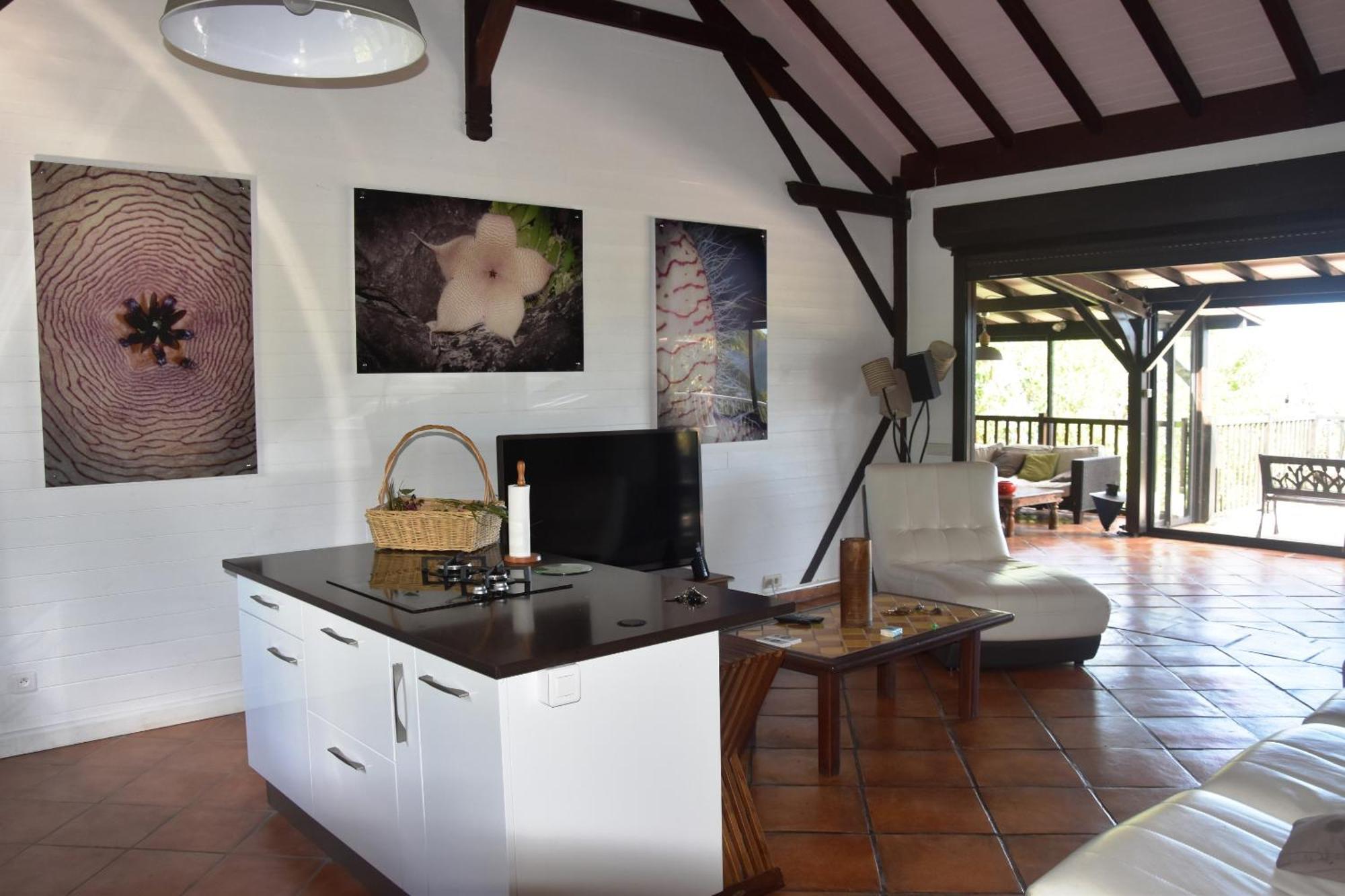 Villa Du Jardin Botanique, Ex. Propriete Coluche Deshaies Extérieur photo