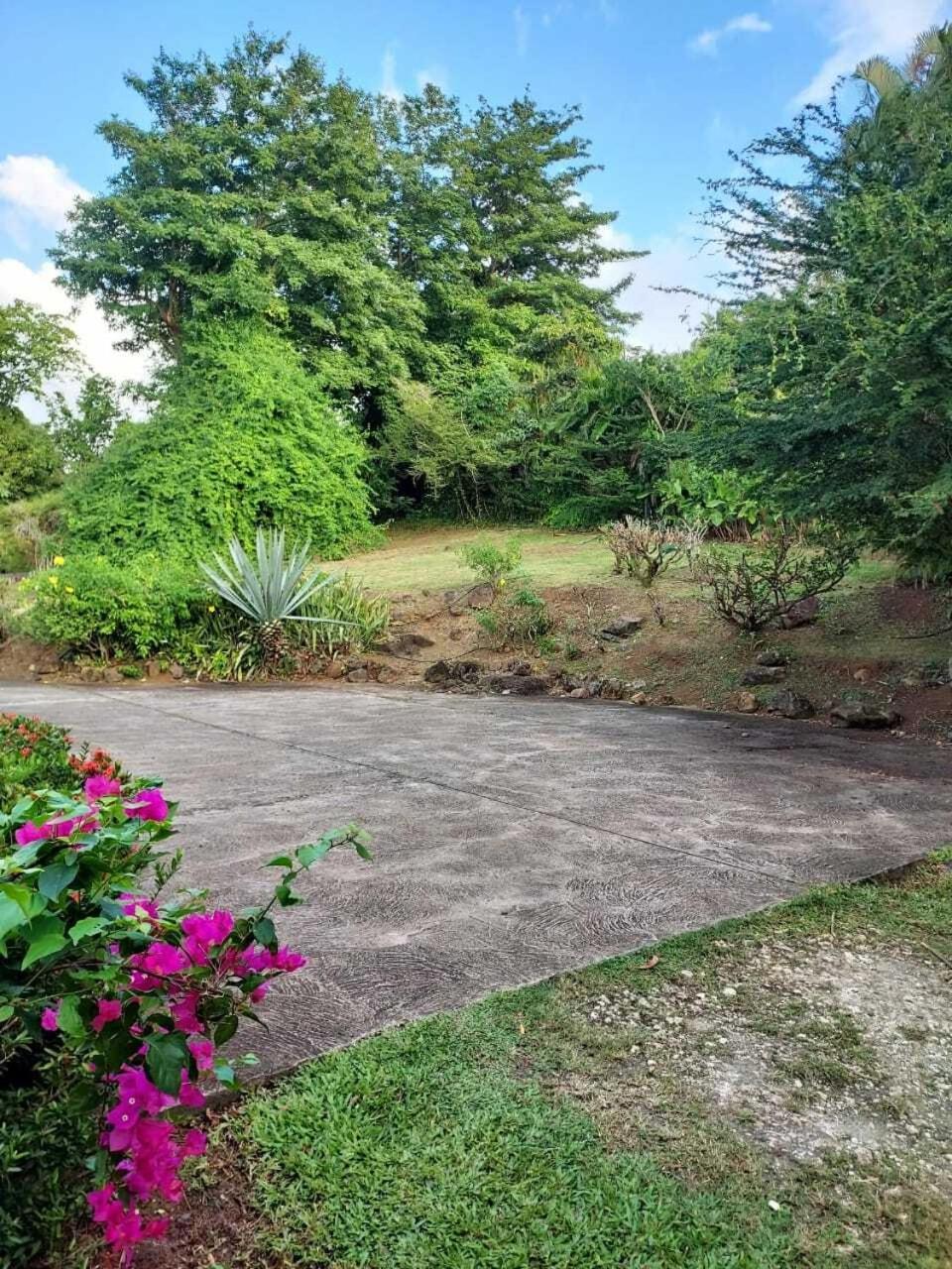 Villa Du Jardin Botanique, Ex. Propriete Coluche Deshaies Extérieur photo